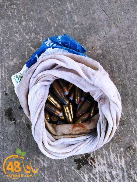 asdwqjrqweqh (5).jpg